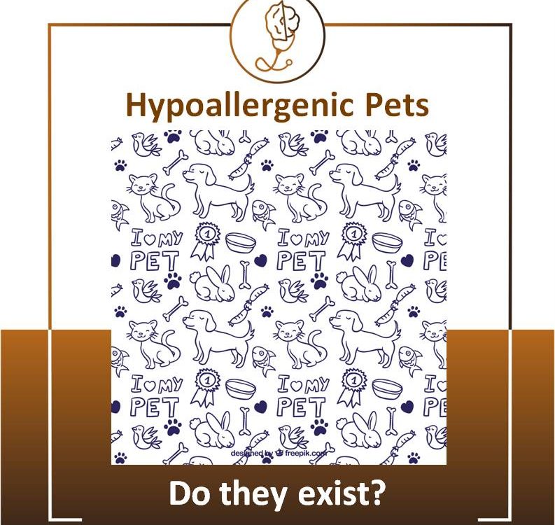 Do hypoallergenic pets exist?