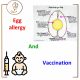 Vaccination and egg allergy