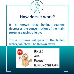 How does boiled peanut immunotherapy work?