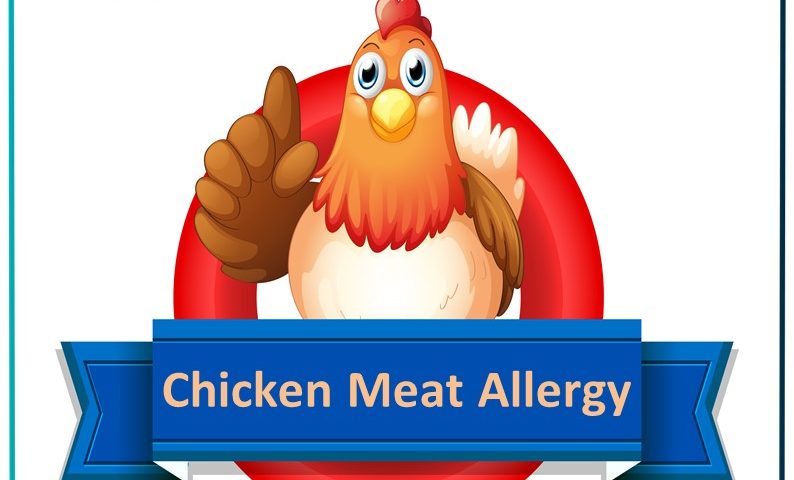 Chicken Meat Allergy