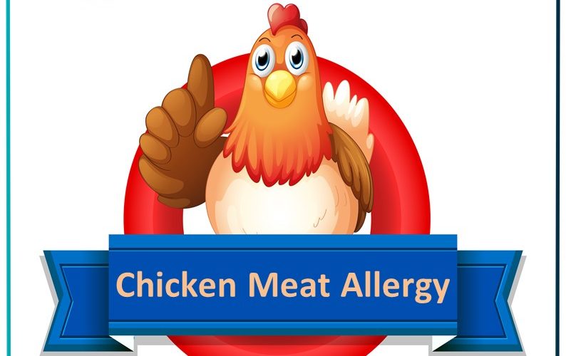 Chicken Allergy