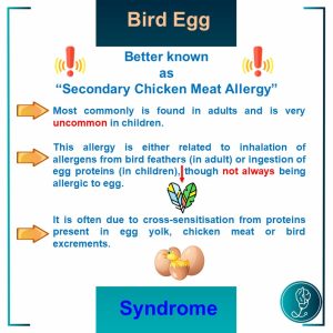 Bird Egg Syndrome or Secondary Chicken Meat Allergy