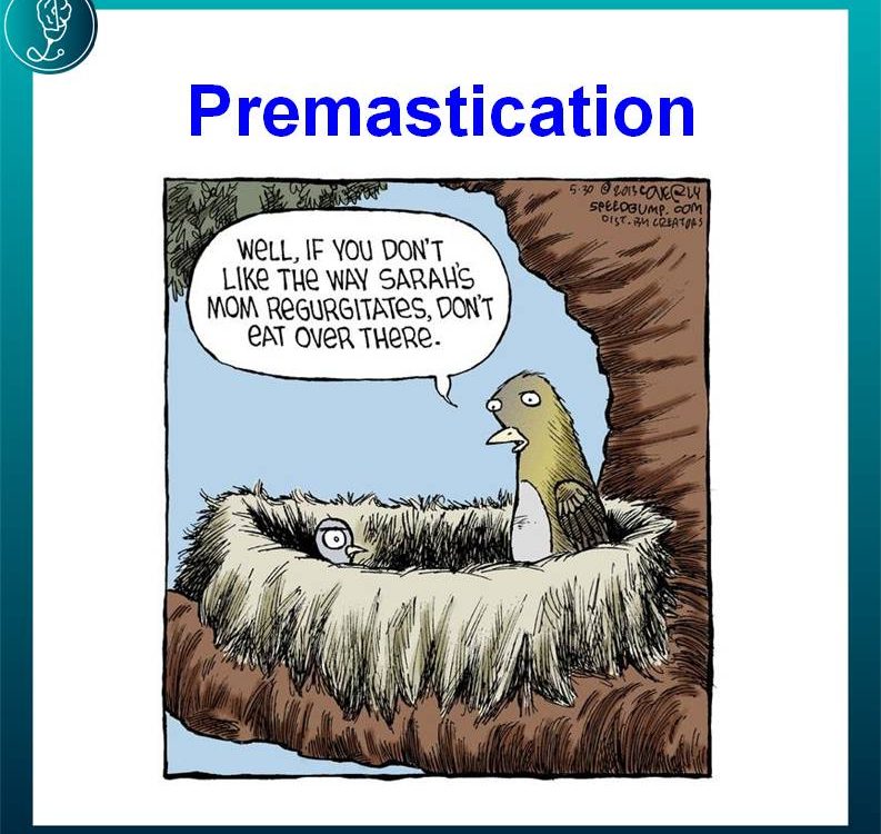 Premastication