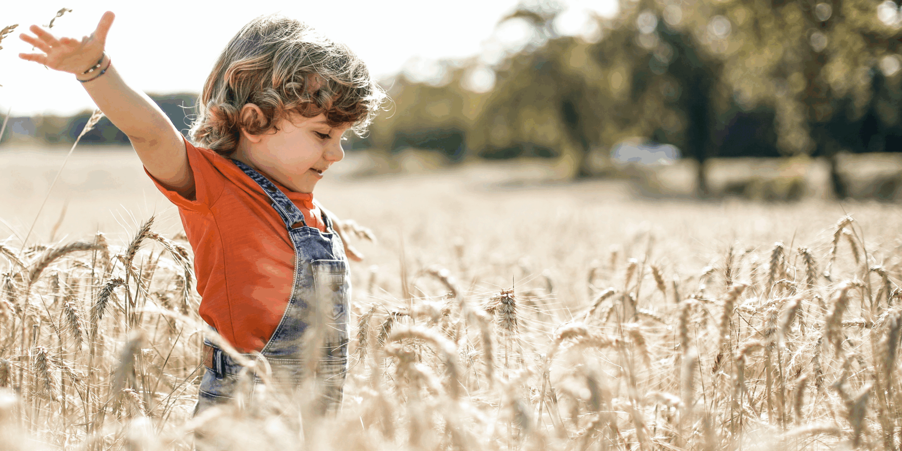Wheat allergy paediatrics allergy clinic wheat allergy child