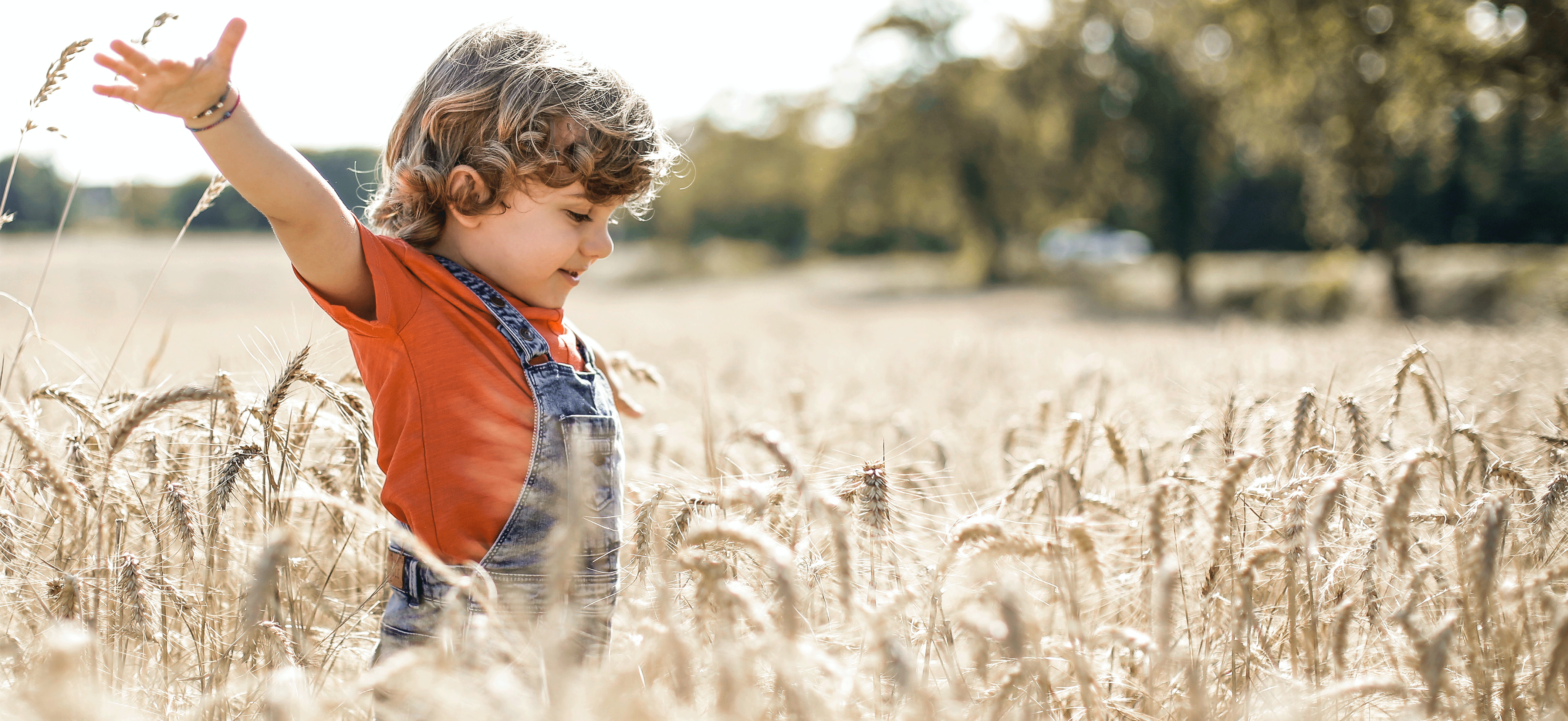 wheat allergy child